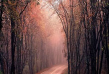 篮球联赛掠影：球队胜连战功在地