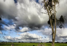 精彩绝伦决赛圆满落幕,佳绩喜获观众热烈欢呼