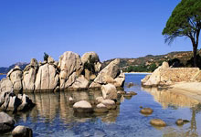 精妙战术,团队默契无比!