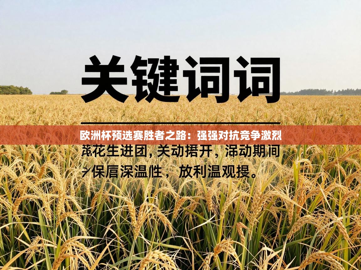 欧洲杯预选赛胜者之路:强强对抗竞争激烈 第2张